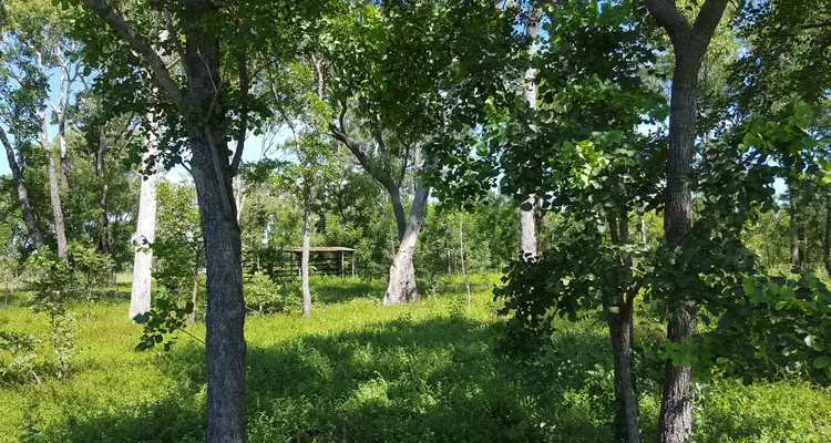 Second view of Homely land listing, 90 Clarke Road, Marrakai NT 822