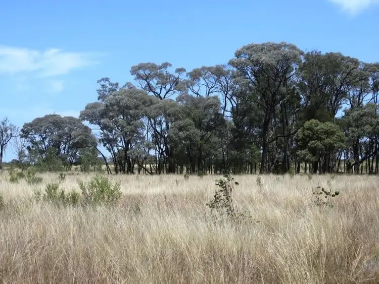 Fifth view of Homely rural property listing, 640 ACRES 2400 Butler Road, Drillham QLD 4424