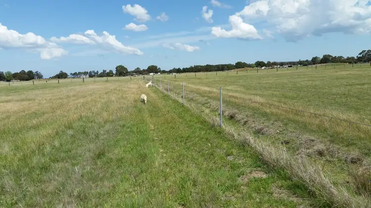 Fifth view of Homely land listing, 128 Tom Jones Rd, Ross Creek VIC 3351