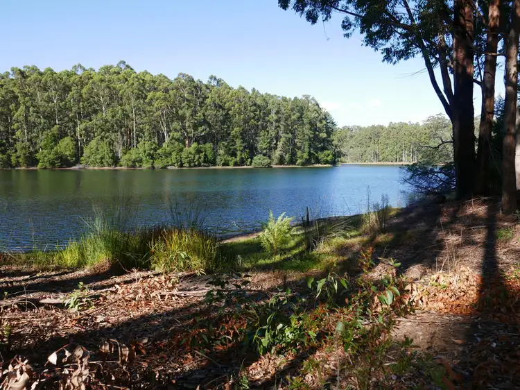 Main view of Homely land listing, 37 Karri Lane, Quinninup WA 6258