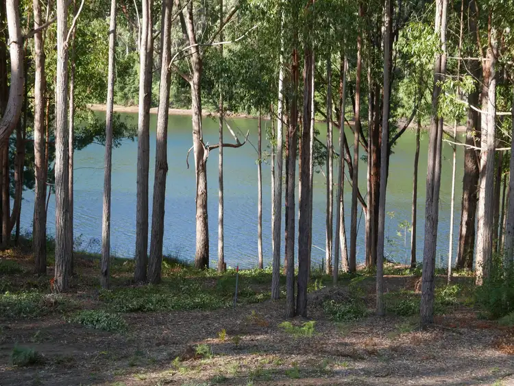Second view of Homely land listing, 37 Karri Lane, Quinninup WA 6258