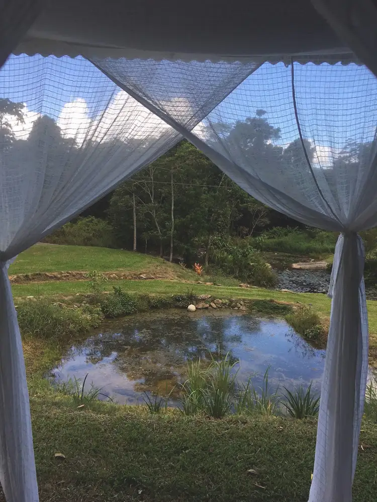 Seventh view of Homely land listing, 203 Ellis Road, Bellenden Ker QLD 4871