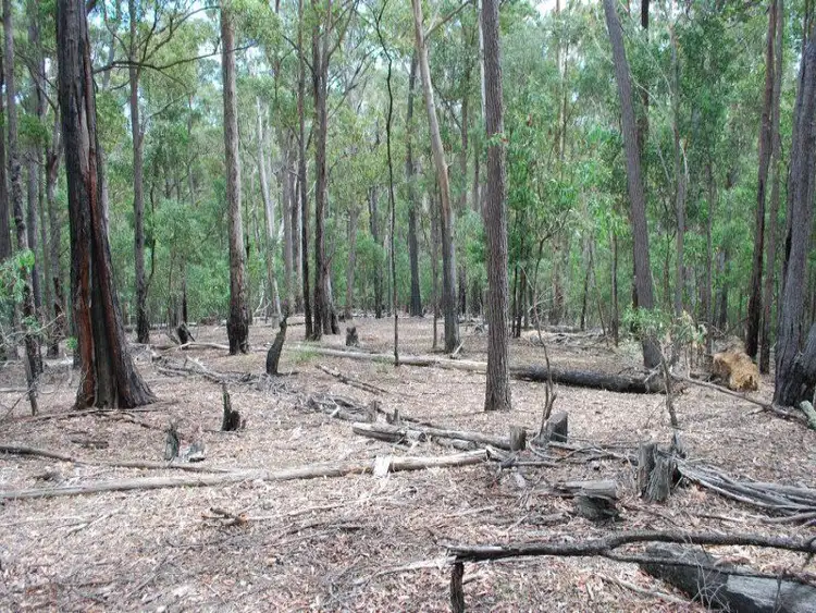 Second view of Homely land listing, 105 Red Gum Road, Yellow Pinch NSW 2548