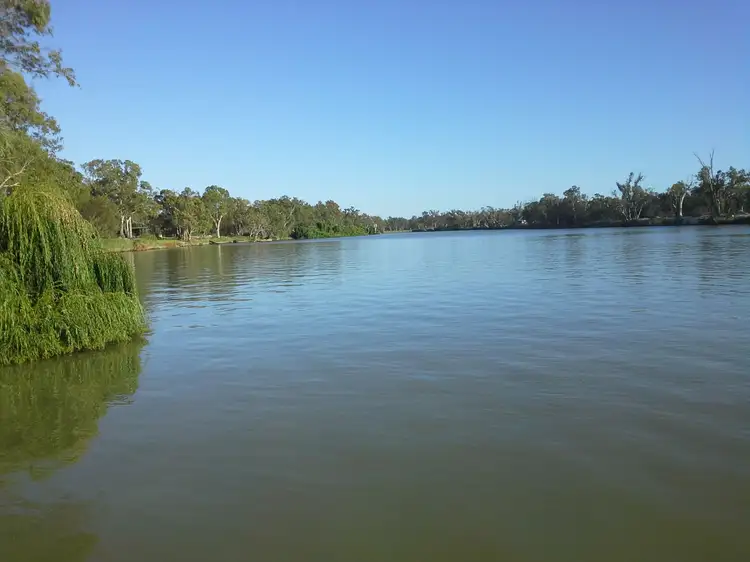 Fifth view of Homely rural property listing, 217 Pelican Point Road, Morgan SA 5320