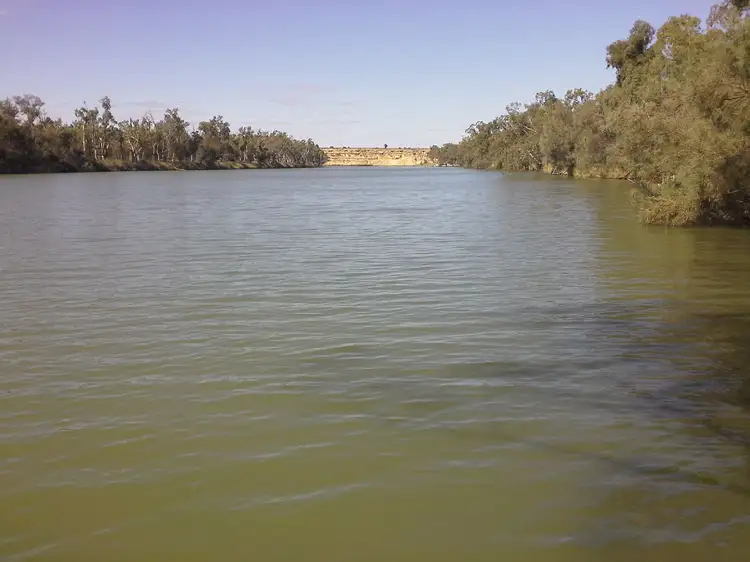 Sixth view of Homely rural property listing, 217 Pelican Point Road, Morgan SA 5320