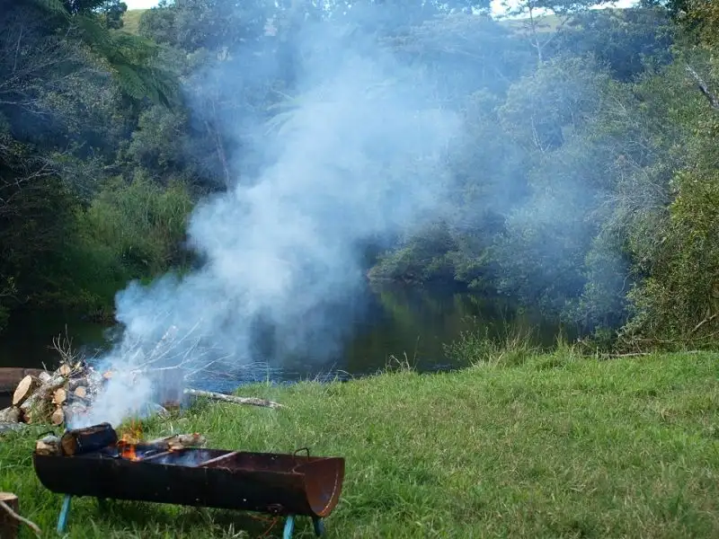 Main view of Homely rural property listing, 601 Old Palmerston Hwy, Millaa Millaa QLD 4886