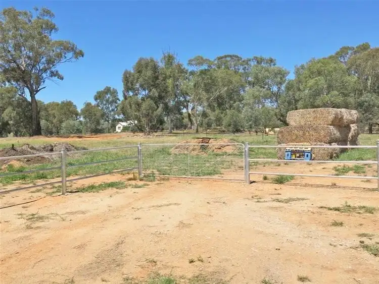 Seventh view of Homely house listing, 13 Cynthia Street, Tarcutta NSW 2652