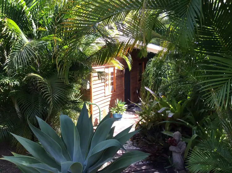 Third view of Homely rural property listing, 799 Diddillibah Road, Diddillibah QLD 4559