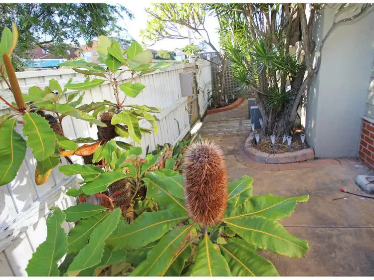 Fourth view of Homely house listing, 8 Caldwell St, Merewether NSW 2291