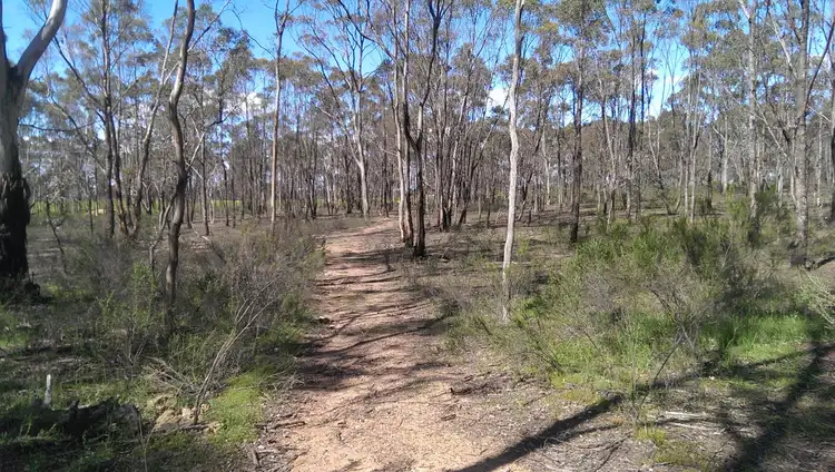 Second view of Homely land listing, Lot 3/125 Axe Creek Road, Axe Creek VIC 3551