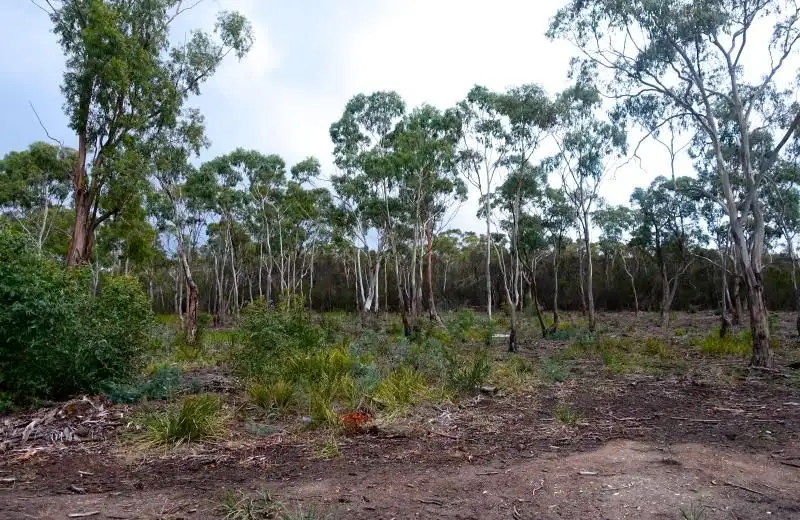 Main view of Homely land listing, Lot 16, LOT Lot 16, 156 Tollard Drive, Rokeby TAS 7019