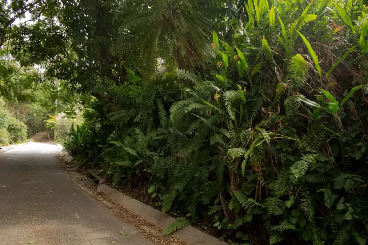 Third view of Homely house listing, 130B Balaclava Road, Earlville QLD 4870