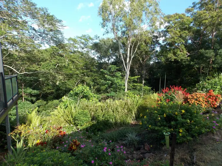 Fourth view of Homely rural property listing, 146 (Lot 4) Allan Road, Conway QLD 4800