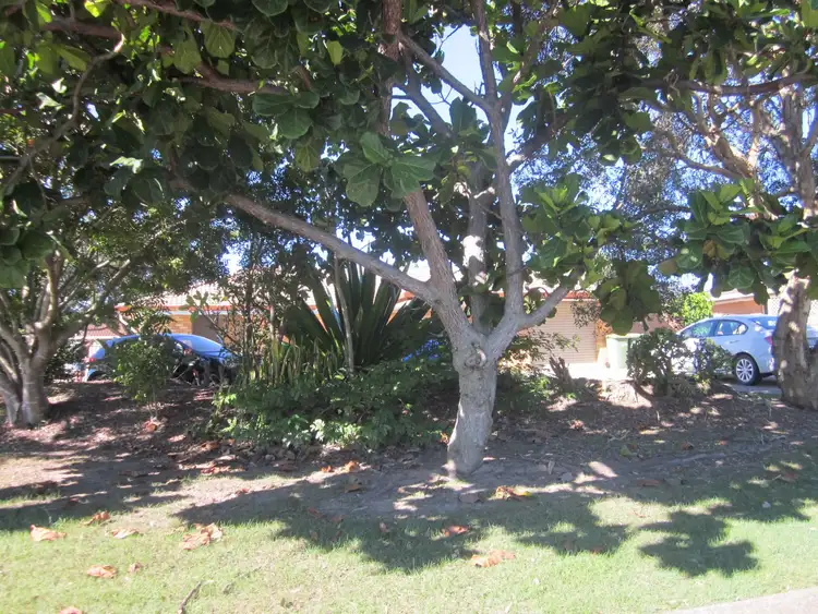 Fourth view of Homely house listing, 270 Rio Vista Blvd, Mermaid Waters QLD 4218