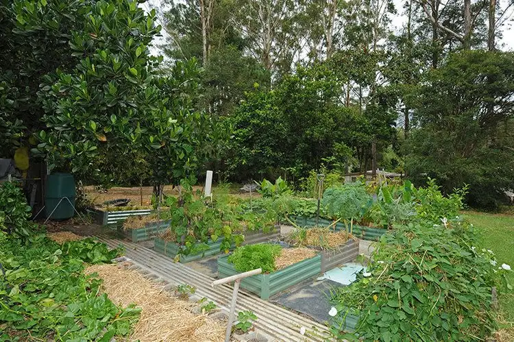 Fifth view of Homely house listing, 25 Storrs Road, Peachester QLD 4519
