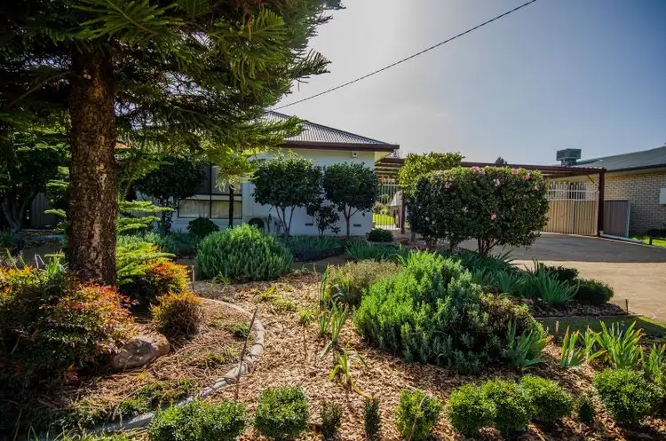 Main view of Homely house listing, 452 Kooringal Road, Kooringal NSW 2650