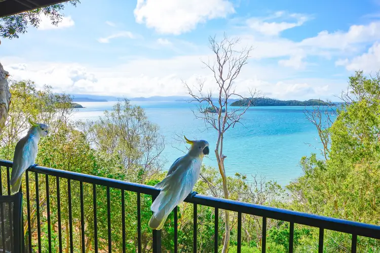 Fifth view of Homely apartment listing, 3 PANORAMA ON HAMILTON, Hamilton Island QLD 4803