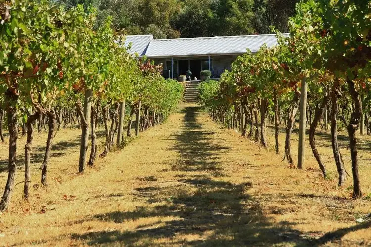 Fifth view of Homely rural property listing, 13 Hannon Place, Axedale VIC 3551