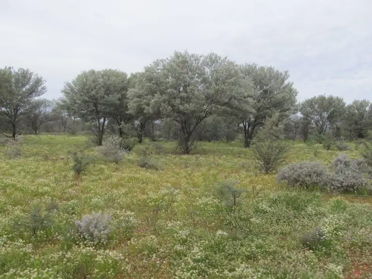 Third view of Homely rural property listing, . Berawinnia Downs, Bourke NSW 2840