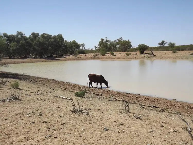 Seventh view of Homely rural property listing, . Berawinnia Downs, Bourke NSW 2840