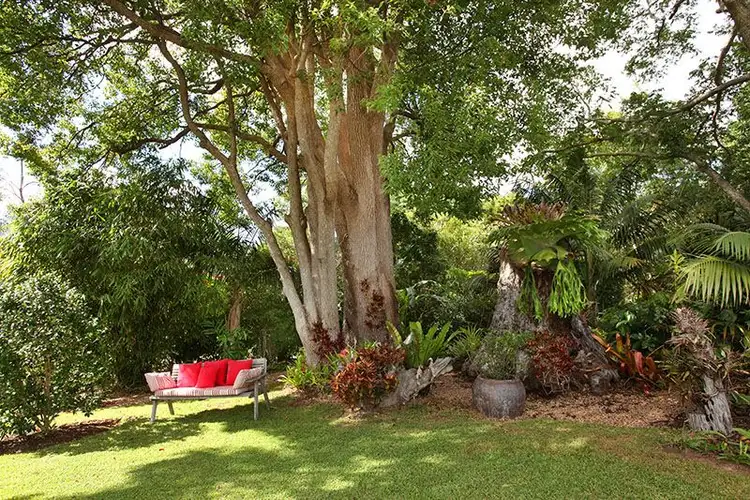 Fifth view of Homely house listing, 3 Cycad Place, Flaxton QLD 4560