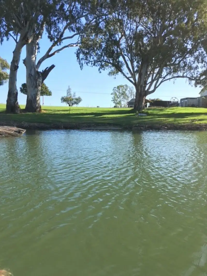 Main view of Homely land listing, 8 Rob Loxton Road, Walker Flat SA 5238