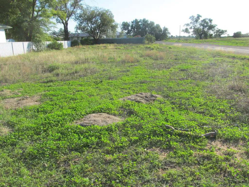 Main view of Homely land listing, 57 Short St, Bourke NSW 2840