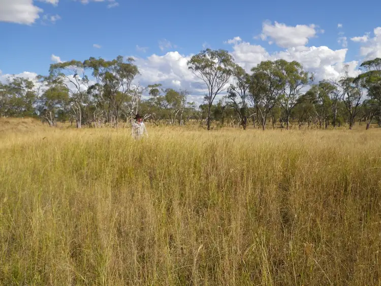 Fifth view of Homely land listing, Lot 3 Hermitage Emu Vale Road, Junabee QLD 4370