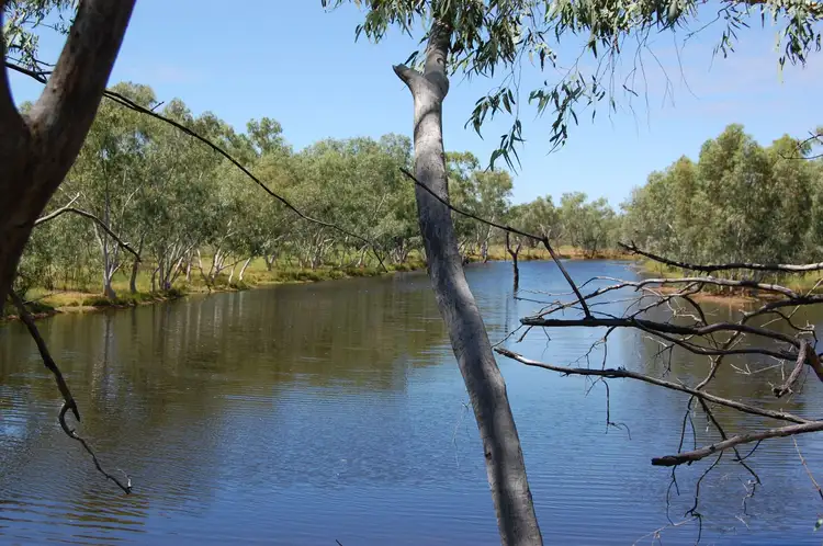 17192 Blackall Adavale Road, Adavale QLD 4474