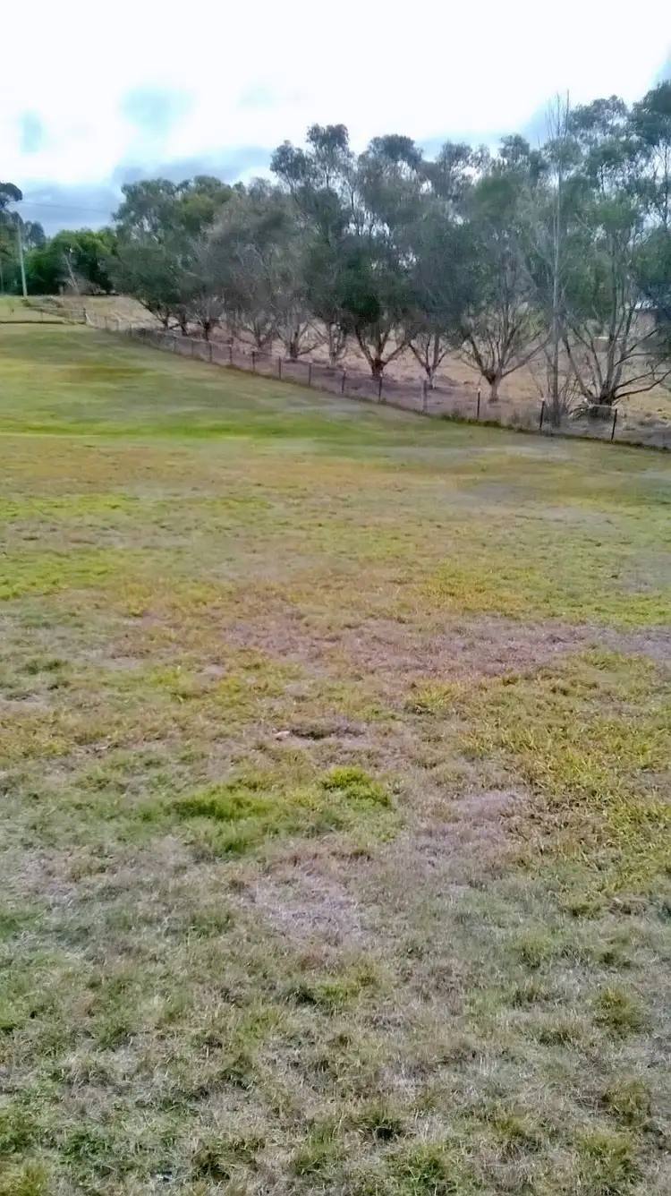 Third view of Homely rural property listing, 5 Caledonia St, Grabben Gullen NSW 2583