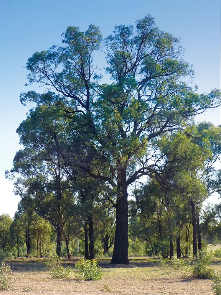 Fifth view of Homely land listing, 2/816 Murchison-Whroo Road, Rushworth VIC 3612