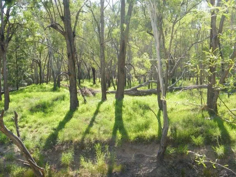 Fourth view of Homely rural property listing, Lots 1 and 2 Wondai Road, Chinchilla QLD 4413