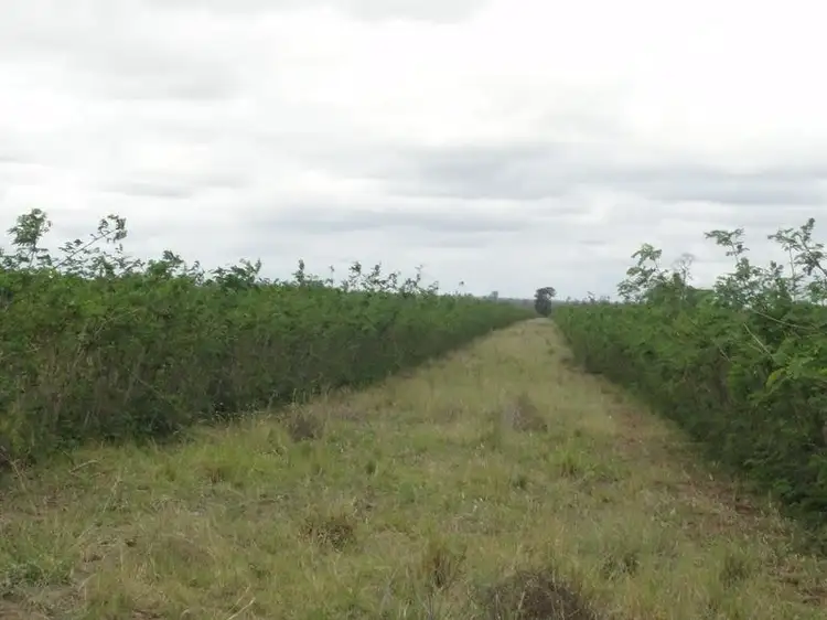 Lot 75 Clarkes Road, Chinchilla QLD 4413