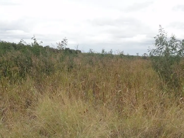Sixth view of Homely rural property listing, Lot 75 Clarkes Road, Chinchilla QLD 4413
