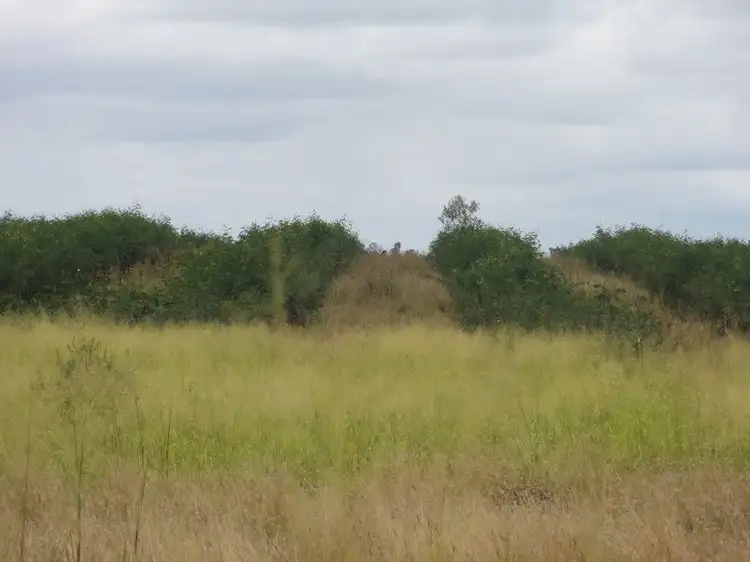 Seventh view of Homely rural property listing, Lot 75 Clarkes Road, Chinchilla QLD 4413