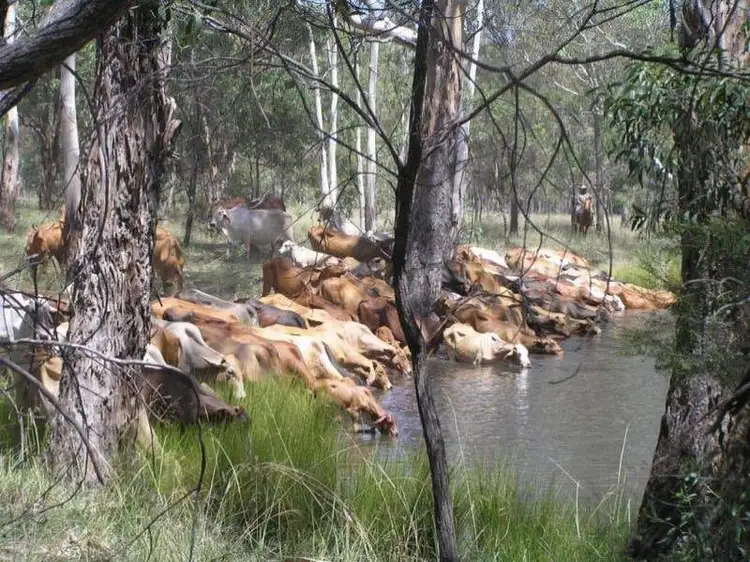 Lot 16 Durah Road, Chinchilla QLD 4413