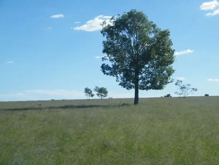 Third view of Homely rural property listing, 598 Bullrush-Billabong Road, Miles QLD 4415