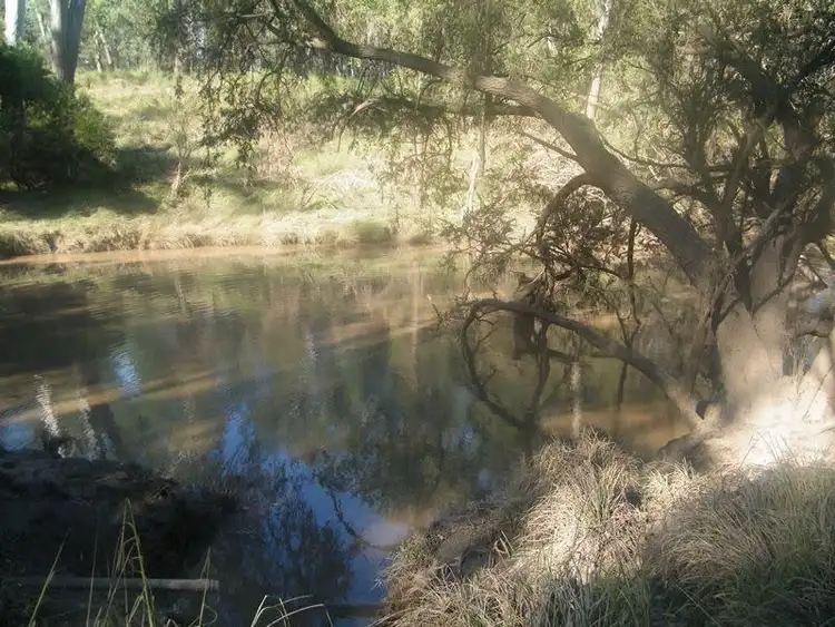 Fifth view of Homely rural property listing, 598 Bullrush-Billabong Road, Miles QLD 4415