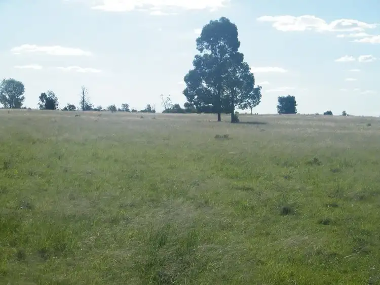 Seventh view of Homely rural property listing, 598 Bullrush-Billabong Road, Miles QLD 4415
