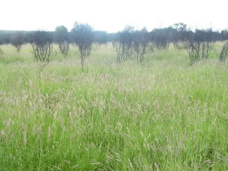 Third view of Homely rural property listing, 0 Baking Board Sturgess Road, Chinchilla QLD 4413