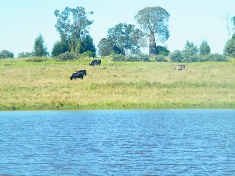 Main view of Homely rural property listing, 301 Leichhardt Highway, Miles QLD 4415
