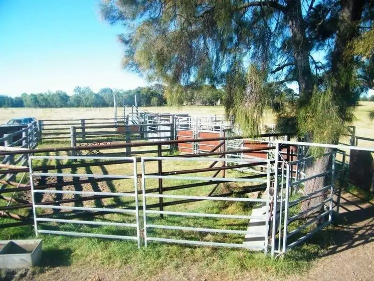 Sixth view of Homely rural property listing, 301 Leichhardt Highway, Miles QLD 4415
