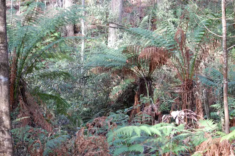 Seventh view of Homely land listing, 188 Stubbs Road, Turners Beach TAS 7315