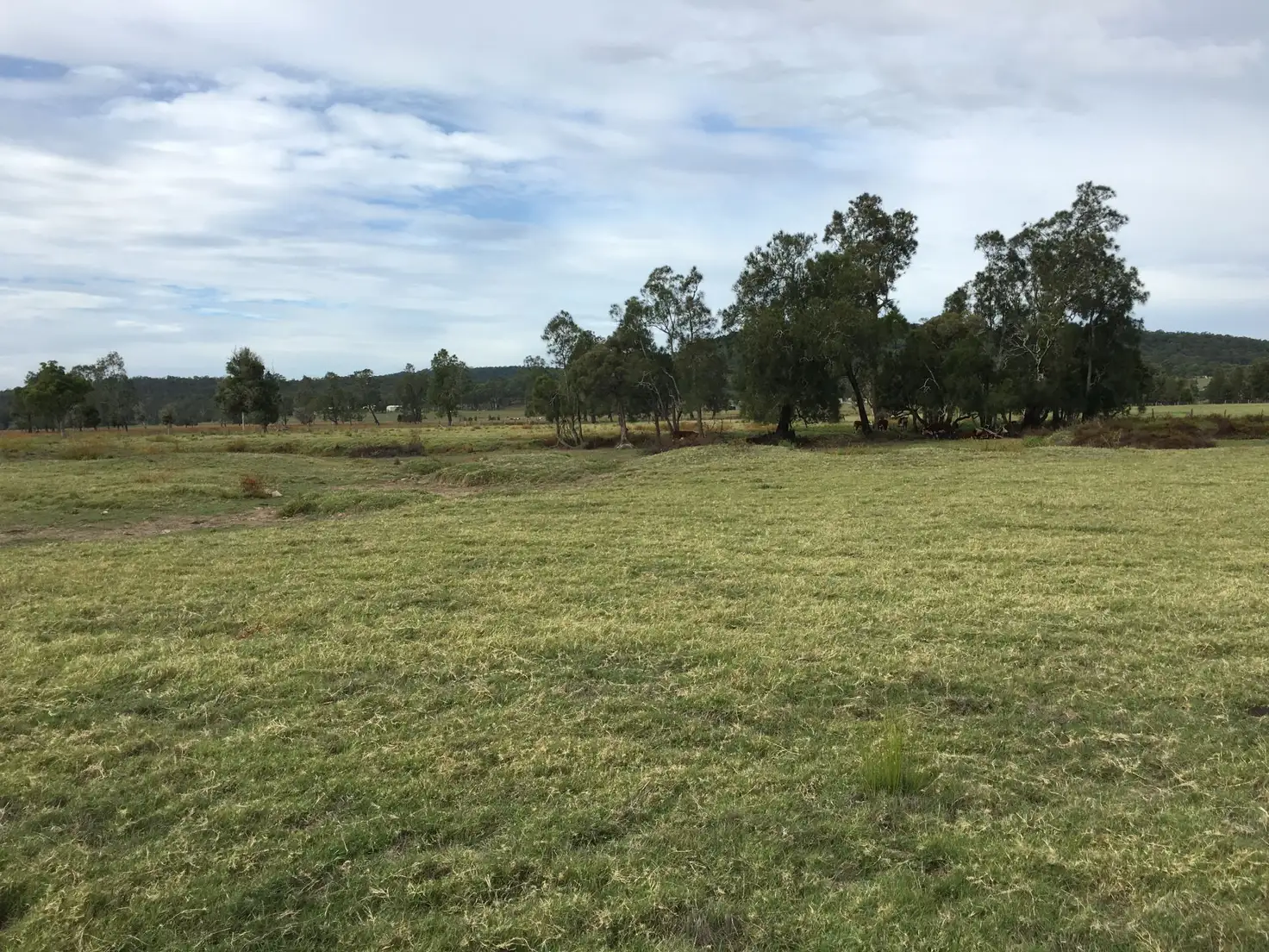 Main view of Homely rural property listing, 854 Newline Road, Eagleton NSW 2324