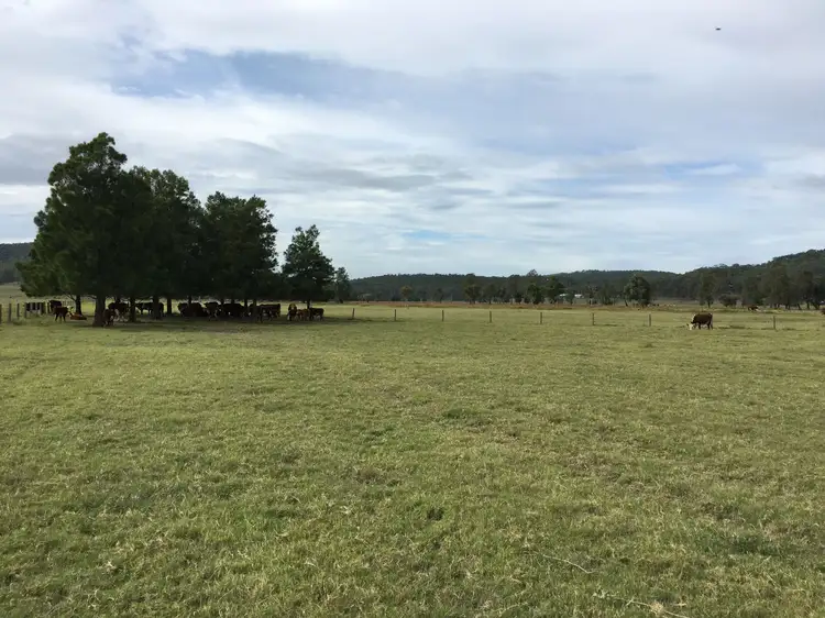 Third view of Homely rural property listing, 854 Newline Road, Eagleton NSW 2324