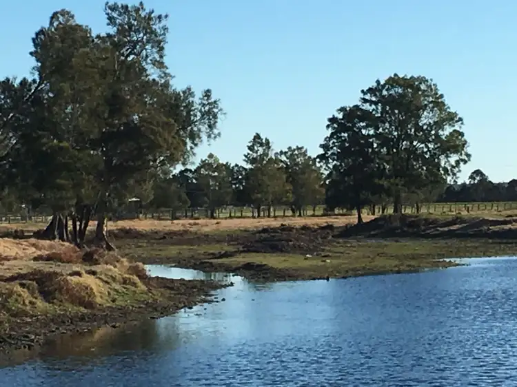 Seventh view of Homely rural property listing, 854 Newline Road, Eagleton NSW 2324