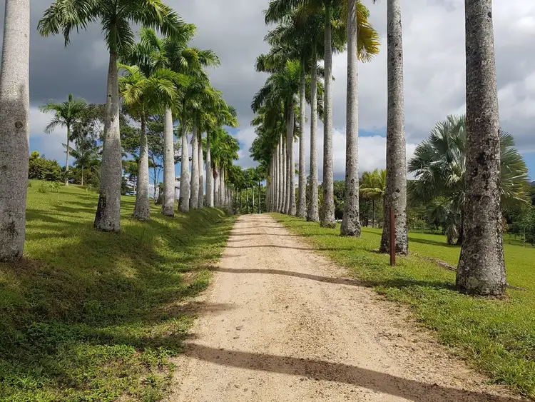 Fifth view of Homely rural property listing, 153 Highland Drive, Julatten QLD 4871