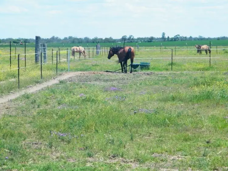 Sixth view of Homely rural property listing, 25 Acres Aerodrome Road, Chinchilla QLD 4413