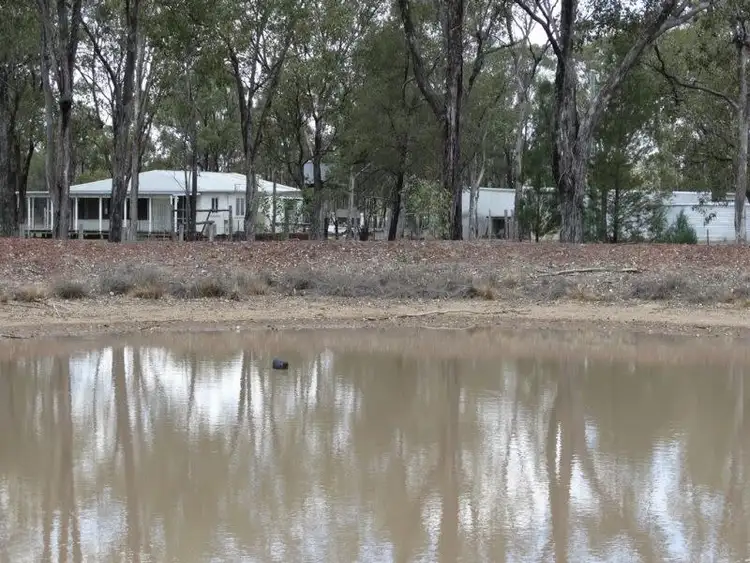 Seventh view of Homely rural property listing, 640 ACRES Surcingle Road, Chinchilla QLD 4413