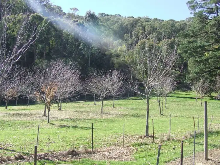 Seventh view of Homely house listing, 5299 Great Alpine Road, Ovens VIC 3738